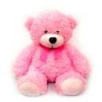 pic for Pink Bear